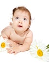 Baby with camomiles Royalty Free Stock Photo