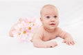 The baby with camomiles Royalty Free Stock Photo