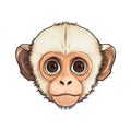 Baby Capuchin Monkey Face Sticker On Isolated Tansparent Background, Png, Logo. Generative AI