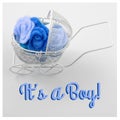 Baby card - Its a boy theme. Pram full of flowers on white background. Newborn greeting card. Royalty Free Stock Photo