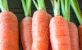 Baby carrot close up in a black container shallow depth of field