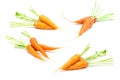 Carrots, baby carrot, fresh carrot on white background