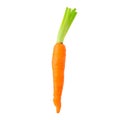 Baby Carrot isolated white background Royalty Free Stock Photo