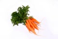 Baby carrots Royalty Free Stock Photo