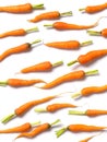 Baby carrots Royalty Free Stock Photo