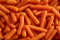 Baby carrots texture background, top view Royalty Free Stock Photo