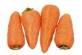 Baby Carrots Royalty Free Stock Photo