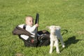 Baby in the carseat and little goat on grass play