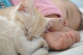 Baby and cat daytime sleeping Royalty Free Stock Photo