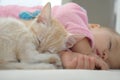 Baby and cat daytime sleeping together Royalty Free Stock Photo