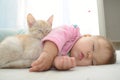 Baby and cat daytime sleeping Royalty Free Stock Photo