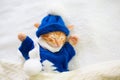 Baby cat in sweater and hat. Kitten sleeping Royalty Free Stock Photo