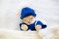 Baby cat in sweater and hat. Kitten sleeping Royalty Free Stock Photo