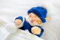 Baby cat in sweater and hat. Kitten sleeping Royalty Free Stock Photo