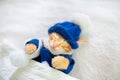 Baby cat in sweater and hat. Kitten sleeping Royalty Free Stock Photo