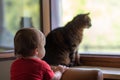 Baby with cat at window Royalty Free Stock Photo