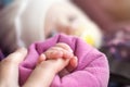 Baby caucasian infant newborn hand with finger parent mother palm Royalty Free Stock Photo
