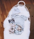 Baby changing basket with ultrasound image, baby bodysuit, soft and wooden toys. Still life of child products. Newborn background