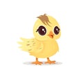 Baby chick fluffiness illustration