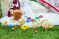 Baby chicken and ester eggs in the grass Royalty Free Stock Photo