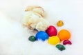 Baby chicken and ester eggs over white fur