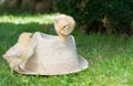 Baby chickens on a straw hat Royalty Free Stock Photo