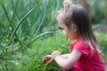 baby child collects and tears grass dill in garden.