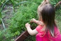 baby child collects and tears greens grass dill in garden.