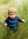 Baby child on the green grass in autumn park. Baby face close up. Funny little child closeup portrait. Blonde kid Royalty Free Stock Photo