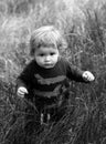 Baby child on the green grass in autumn park. Baby face close up. Funny little child closeup portrait. Blonde kid Royalty Free Stock Photo