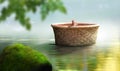 Baby child Moses in a basket floating on a river Royalty Free Stock Photo