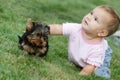 Baby child and yorkshire terrier Royalty Free Stock Photo