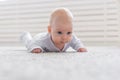 Baby, childhood, people concept - Portrait of a crawling baby on the floor