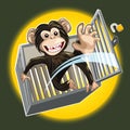 Baby Chimpanzee Breaking A Cage