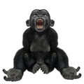 Baby chimpanzee cartoon in a white background Royalty Free Stock Photo