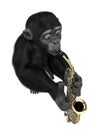 Baby chimpanzee cartoon in a white background Royalty Free Stock Photo