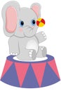 Baby circus elephant with ball