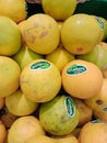 baby citrus fruit, yellow skin, sweet taste.
