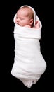 Baby Cocoon Royalty Free Stock Photo