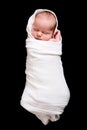 Baby Cocoon Royalty Free Stock Photo