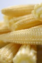 Baby corn