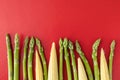 Baby corn and asparagus on a red background with copy space Royalty Free Stock Photo