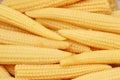 Baby corn cobs Royalty Free Stock Photo