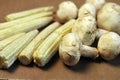 Baby corn cobs arranged Royalty Free Stock Photo