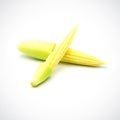 Baby corn isolated on the white background Royalty Free Stock Photo