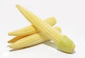 Baby corn isolated on white background Royalty Free Stock Photo