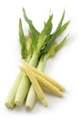 Baby corn, young corn, mini corn Royalty Free Stock Photo