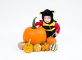 Baby in costume with pumpkins on white background