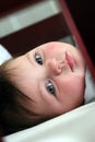 Baby in cot Royalty Free Stock Photo