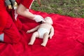 Baby CPR dummy first aid training Royalty Free Stock Photo